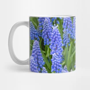 Grape Hyacinth (Muscari Armeniacum) Mug